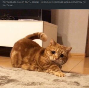 Тестировщик Лавории